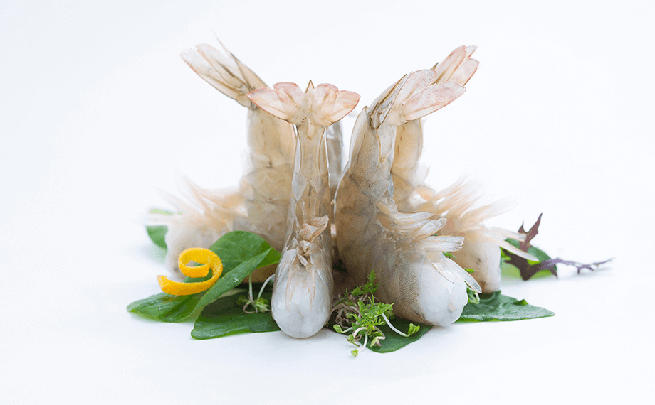 Raw Shrimp
